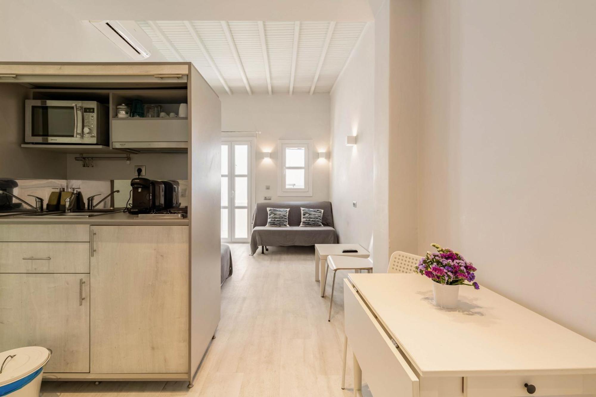 Elenitas Flat Next To The Windmills Διαμέρισμα Mykonos Town Εξωτερικό φωτογραφία